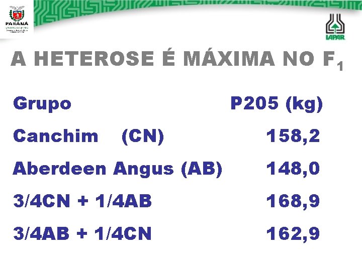 A HETEROSE É MÁXIMA NO F 1 Grupo Canchim P 205 (kg) (CN) 158,
