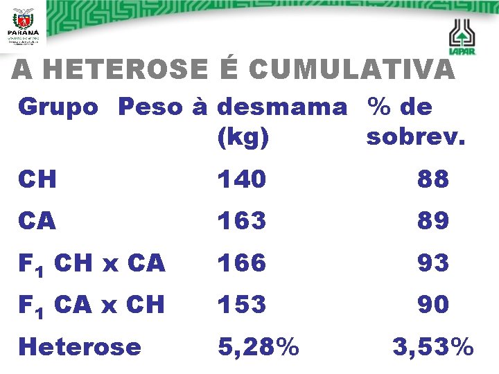 A HETEROSE É CUMULATIVA Grupo Peso à desmama % de (kg) sobrev. CH 140