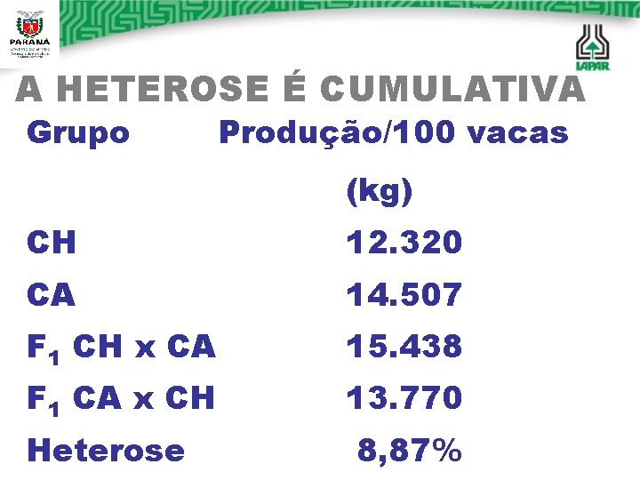 A HETEROSE É CUMULATIVA Grupo Produção/100 vacas (kg) CH 12. 320 CA 14. 507