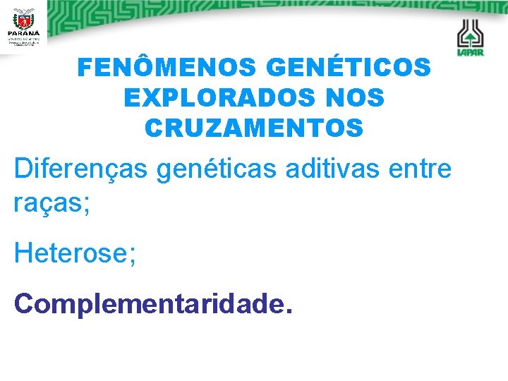 FENÔMENOS GENÉTICOS EXPLORADOS NOS CRUZAMENTOS Diferenças genéticas aditivas entre raças; Heterose; Complementaridade. 