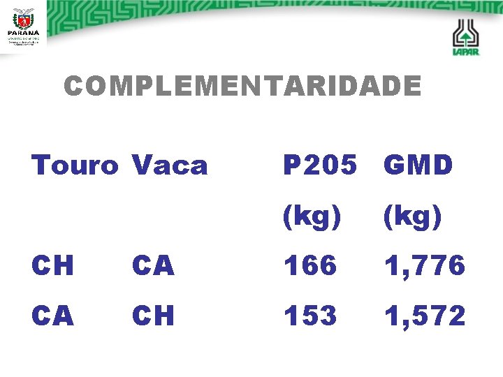 COMPLEMENTARIDADE Touro Vaca P 205 GMD (kg) CH CA 166 1, 776 CA CH