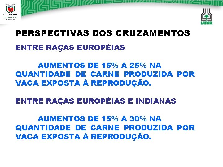 PERSPECTIVAS DOS CRUZAMENTOS ENTRE RAÇAS EUROPÉIAS AUMENTOS DE 15% A 25% NA QUANTIDADE DE