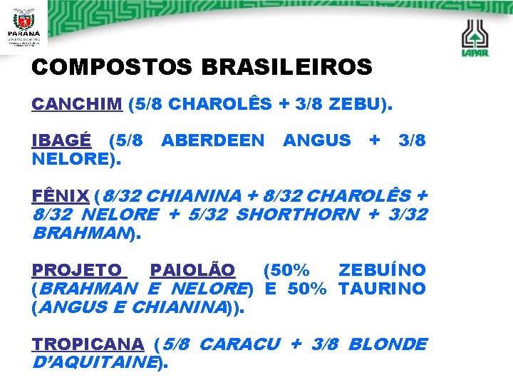 COMPOSTOS BRASILEIROS CANCHIM (5/8 CHAROLÊS + 3/8 ZEBU). IBAGÉ (5/8 NELORE). ABERDEEN ANGUS +
