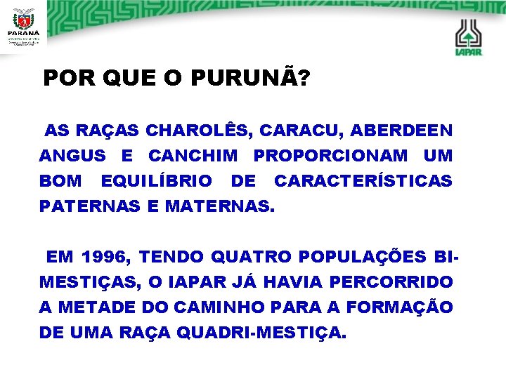 POR QUE O PURUNÃ? AS RAÇAS CHAROLÊS, CARACU, ABERDEEN ANGUS E CANCHIM PROPORCIONAM UM