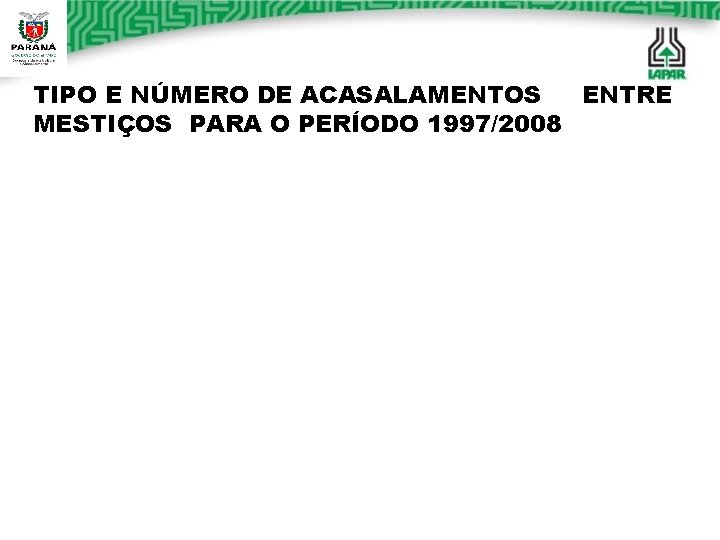 TIPO E NÚMERO DE ACASALAMENTOS ENTRE MESTIÇOS PARA O PERÍODO 1997/2008 TIPO E NÚMERO DE ACASALAMENTOS ENTRE MESTIÇOS PARA O PERÍODO 1997/2008
