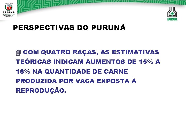 PERSPECTIVAS DO PURUNÃ 4 COM QUATRO RAÇAS, AS ESTIMATIVAS TEÓRICAS INDICAM AUMENTOS DE 15% PERSPECTIVAS DO PURUNÃ 4 COM QUATRO RAÇAS, AS ESTIMATIVAS TEÓRICAS INDICAM AUMENTOS DE 15%