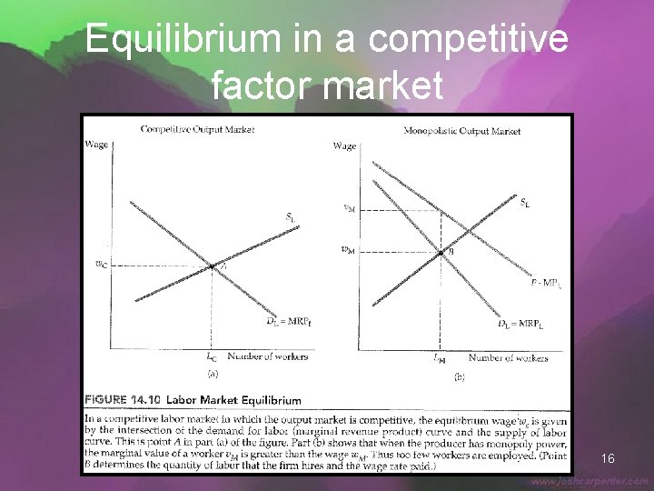 Equilibrium in a competitive factor market 16 