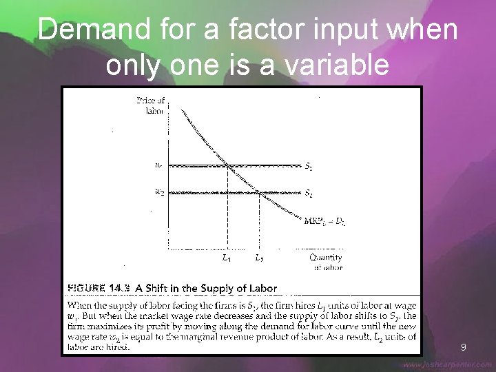 Demand for a factor input when only one is a variable 9 