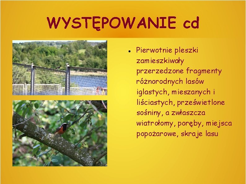 WYSTĘPOWANIE cd Pierwotnie pleszki zamieszkiwały przerzedzone fragmenty różnorodnych lasów iglastych, mieszanych i liściastych, prześwietlone