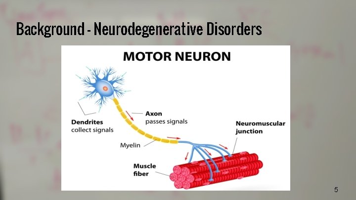 Background - Neurodegenerative Disorders 5 