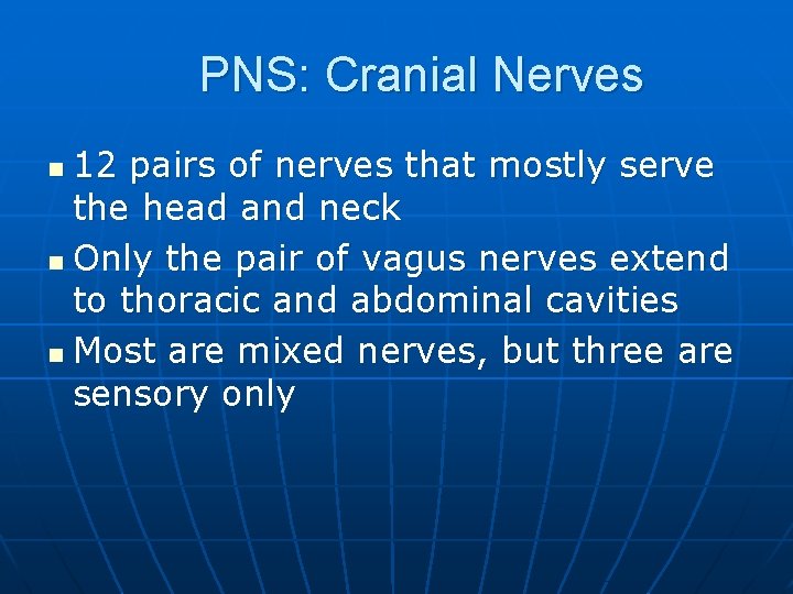 PNS: Cranial Nerves 12 pairs of nerves that mostly serve the head and neck
