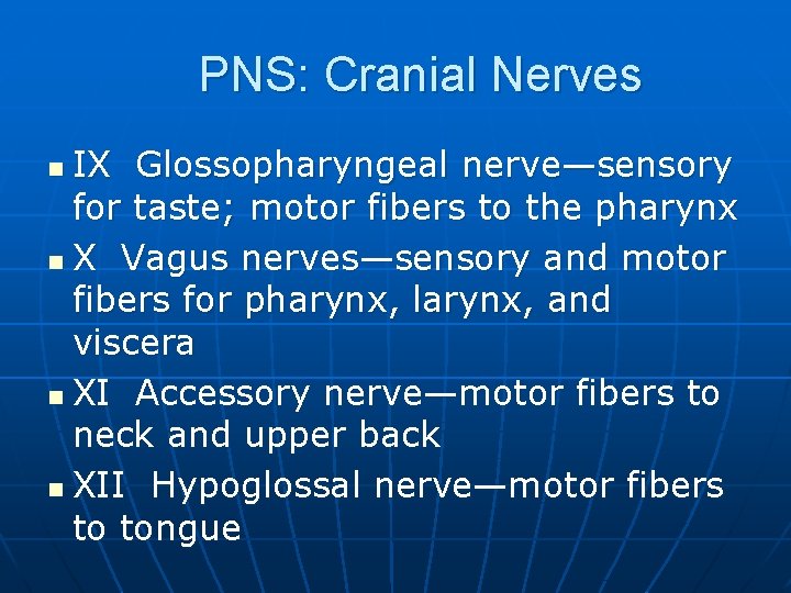 PNS: Cranial Nerves IX Glossopharyngeal nerve—sensory for taste; motor fibers to the pharynx n