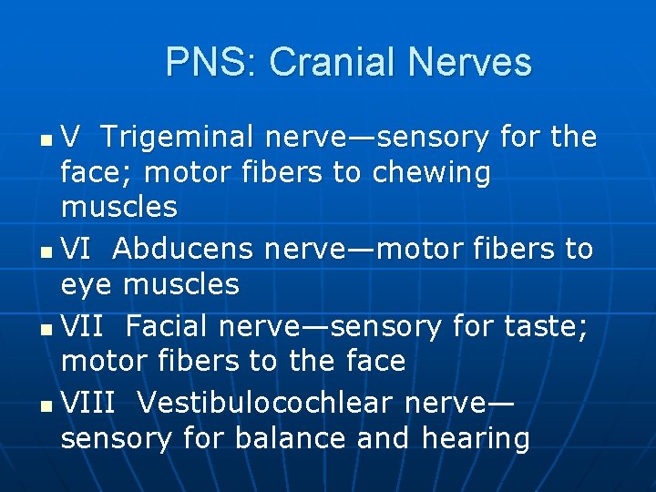 PNS: Cranial Nerves V Trigeminal nerve—sensory for the face; motor fibers to chewing muscles