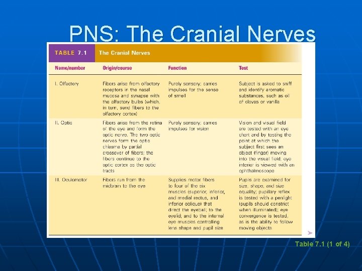 PNS: The Cranial Nerves Table 7. 1 (1 of 4) 