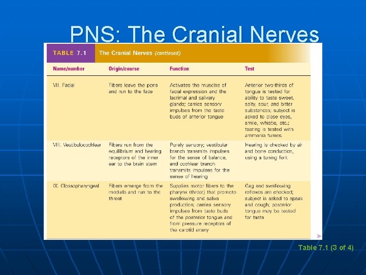 PNS: The Cranial Nerves Table 7. 1 (3 of 4) 