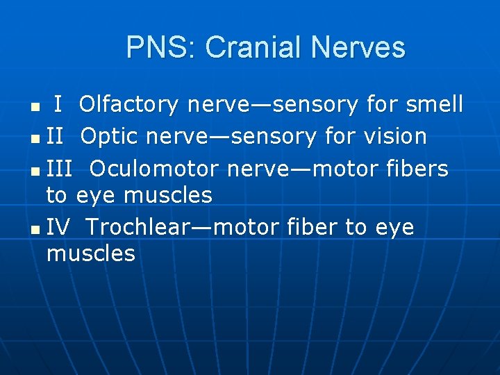 PNS: Cranial Nerves I Olfactory nerve—sensory for smell n II Optic nerve—sensory for vision