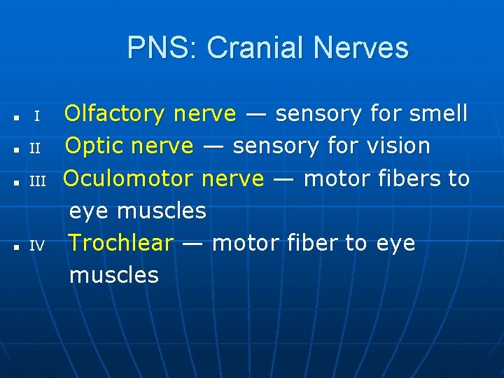 PNS: Cranial Nerves n III n IV Olfactory nerve — sensory for smell Optic