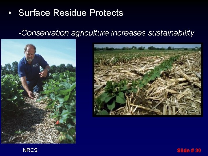  • Surface Residue Protects -Conservation agriculture increases sustainability. NRCS Slide # 30 