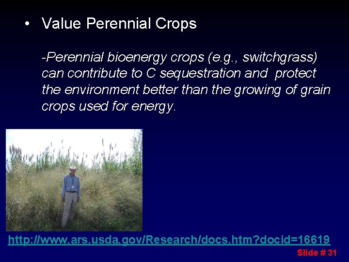  • Value Perennial Crops -Perennial bioenergy crops (e. g. , switchgrass) can contribute