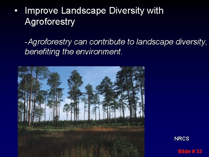  • Improve Landscape Diversity with Agroforestry -Agroforestry can contribute to landscape diversity, benefiting