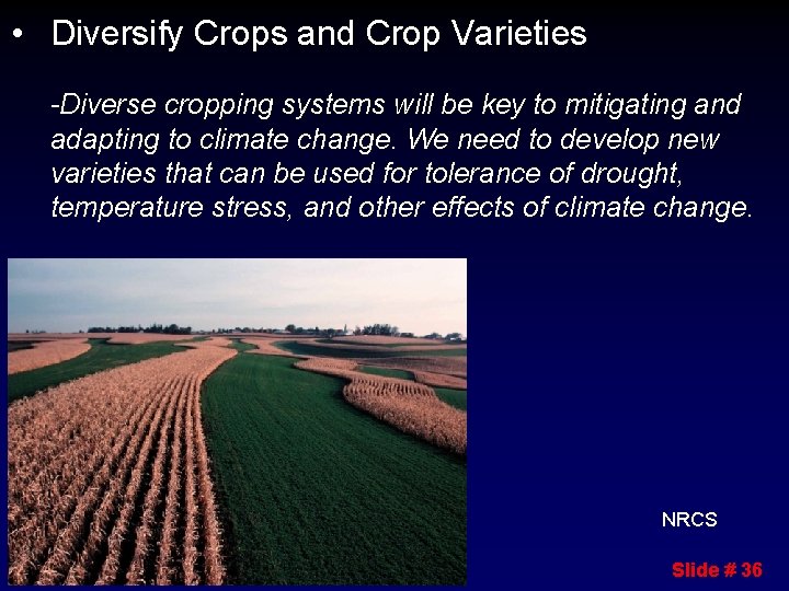  • Diversify Crops and Crop Varieties -Diverse cropping systems will be key to
