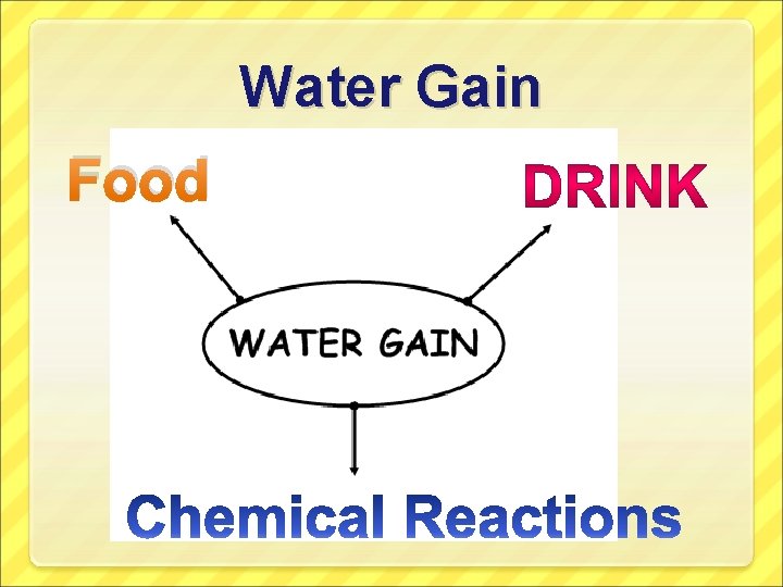 Water Gain Food 