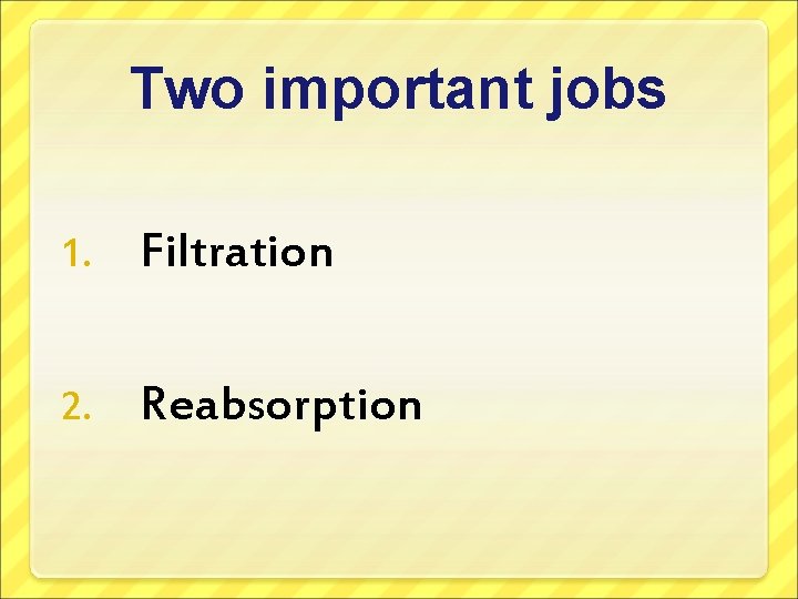 Two important jobs 1. Filtration 2. Reabsorption 
