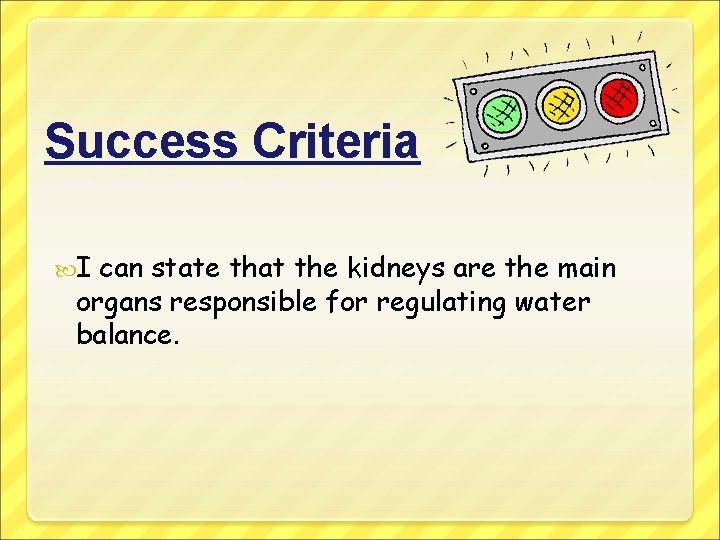 Success Criteria I can state that the kidneys are the main organs responsible for