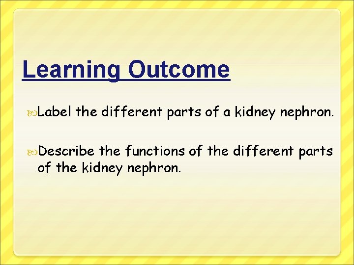 Learning Outcome Label the different parts of a kidney nephron. Describe the functions of