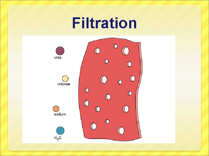 Filtration 