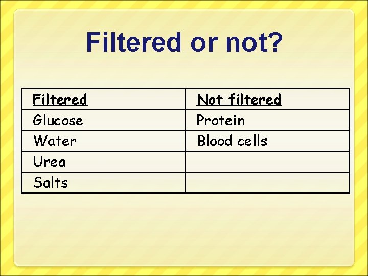 Filtered or not? Filtered Glucose Water Urea Salts Not filtered Protein Blood cells 