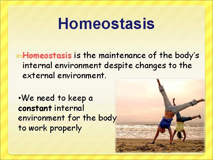Homeostasis is the maintenance of the body’s internal environment despite changes to the external