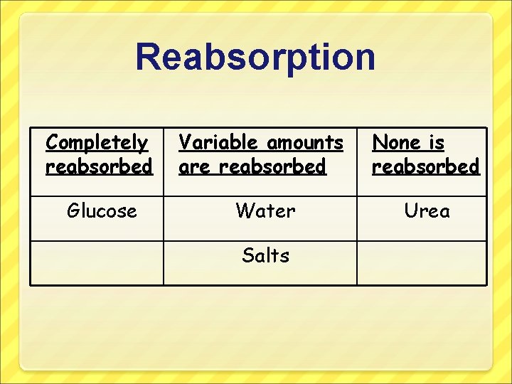 Reabsorption Completely reabsorbed Variable amounts are reabsorbed None is reabsorbed Glucose Water Urea Salts