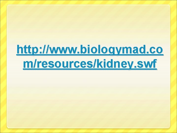 http: //www. biologymad. co m/resources/kidney. swf 