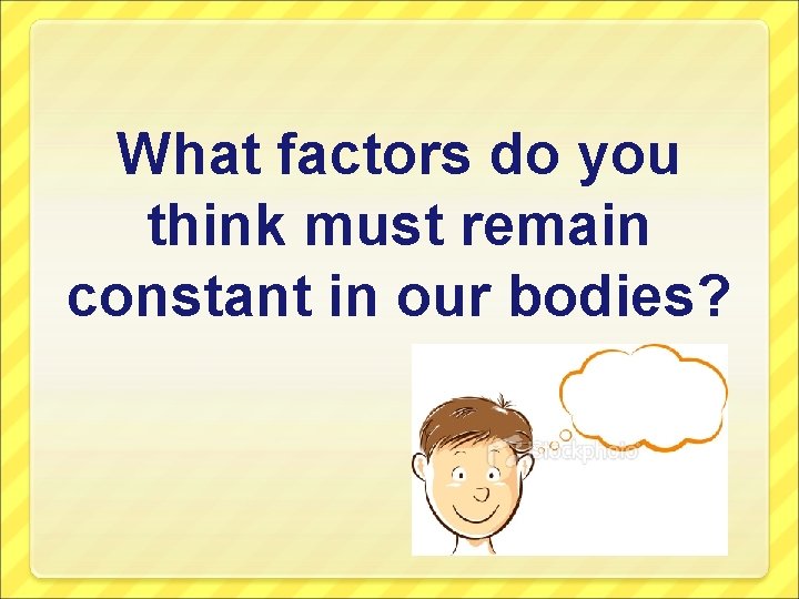What factors do you think must remain constant in our bodies? 