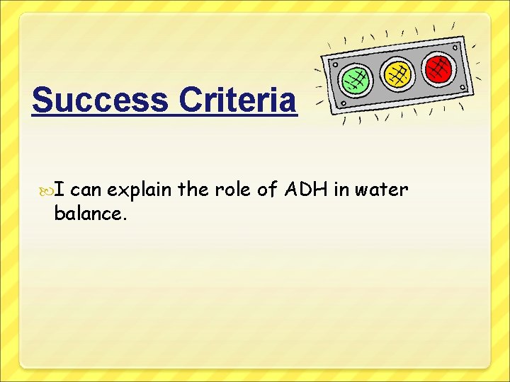 Success Criteria I can explain the role of ADH in water balance. 