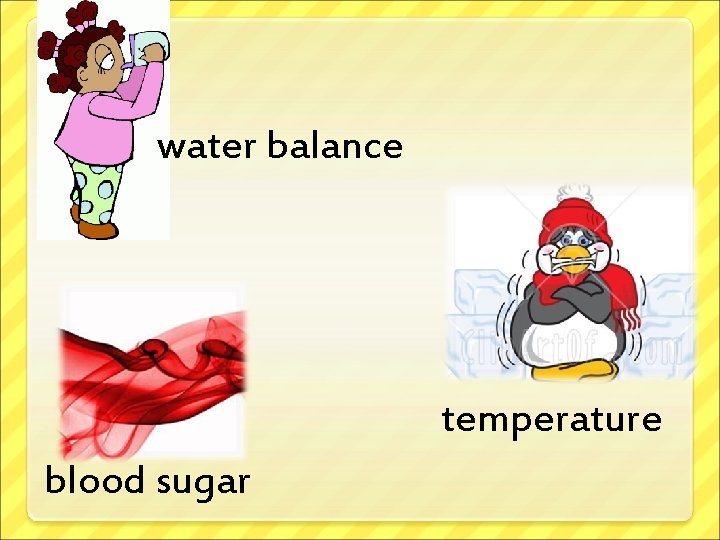 water balance temperature blood sugar 