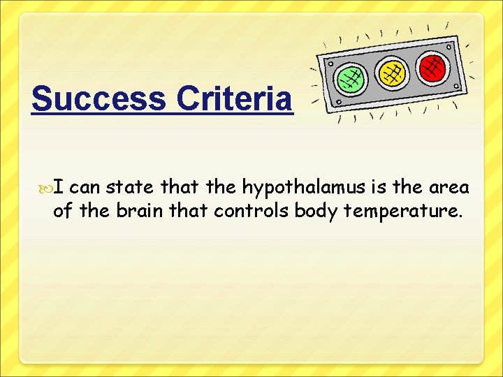 Success Criteria I can state that the hypothalamus is the area of the brain