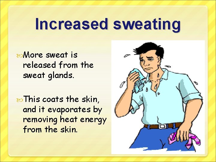 Increased sweating More sweat is released from the sweat glands. This coats the skin,