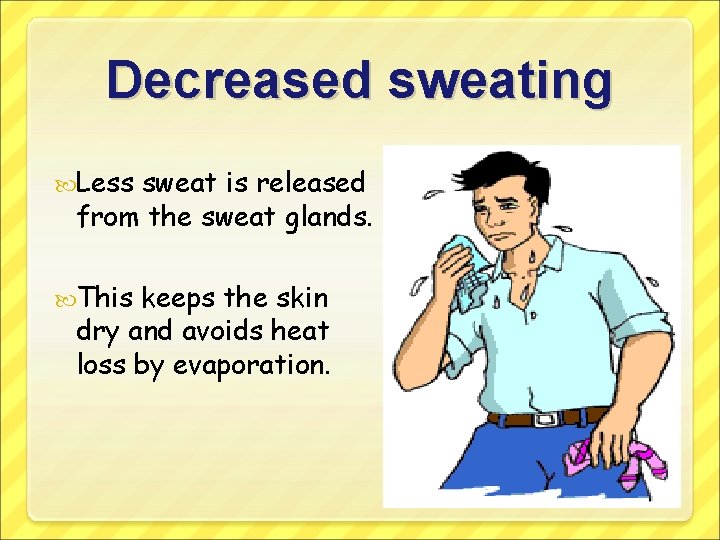 Decreased sweating Less sweat is released from the sweat glands. This keeps the skin