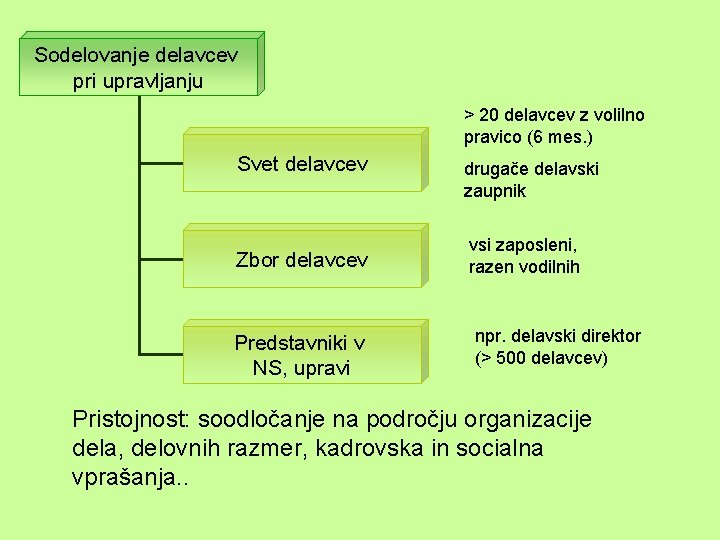 Sodelovanje delavcev pri upravljanju > 20 delavcev z volilno pravico (6 mes. ) Svet