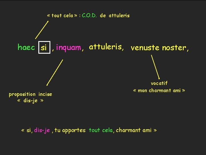  « tout cela » : C. O. D. de attuleris haec si ,