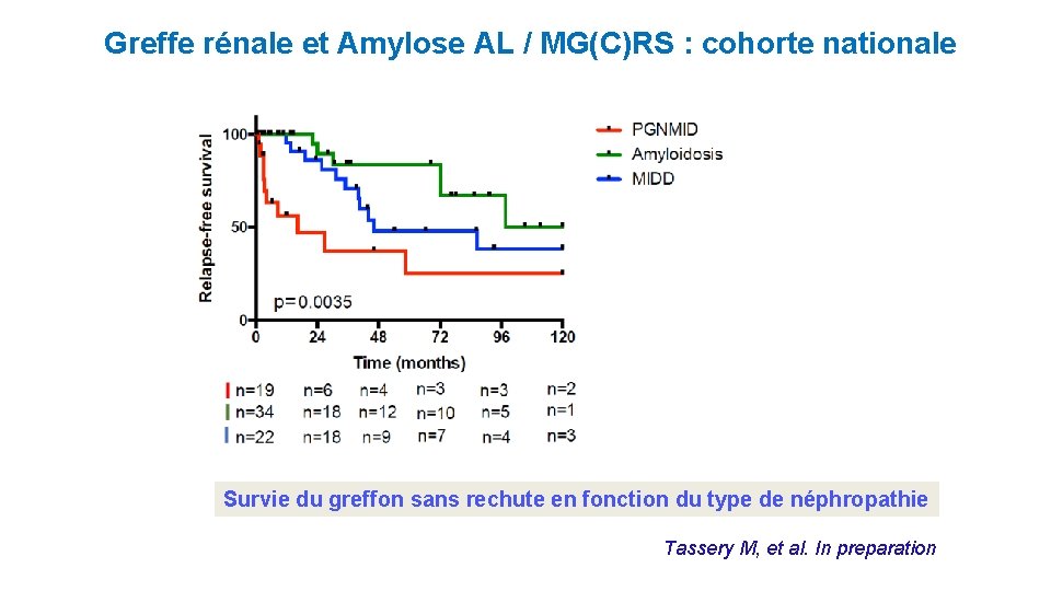 Greffe rénale et Amylose AL / MG(C)RS : cohorte nationale Survie du greffon sans