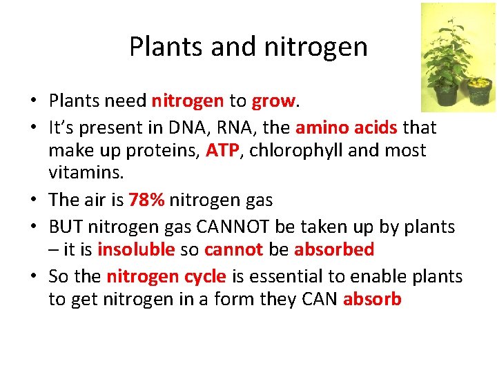 Plants and nitrogen • Plants need nitrogen to grow. • It’s present in DNA,