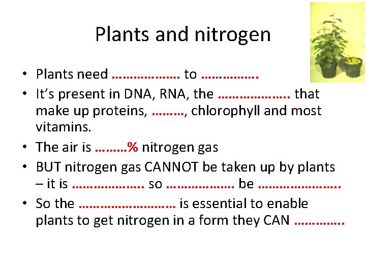 Plants and nitrogen • Plants need ………………. to ……………. • It’s present in DNA,