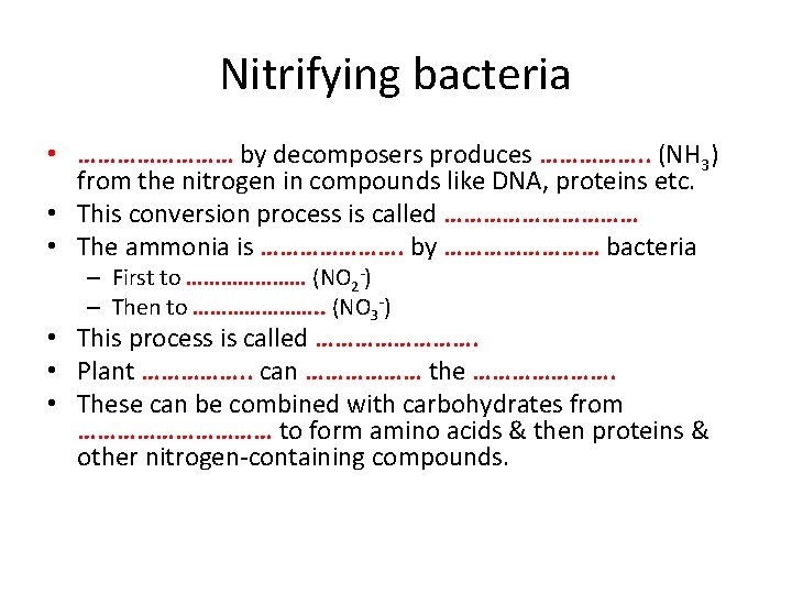 Nitrifying bacteria • ………… by decomposers produces ……………. . (NH 3) from the nitrogen