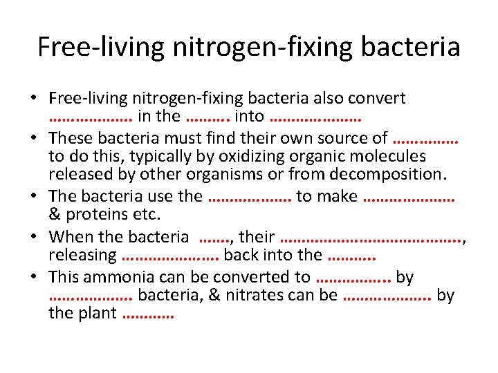 Free-living nitrogen-fixing bacteria • Free-living nitrogen-fixing bacteria also convert ………………. in the ………. into