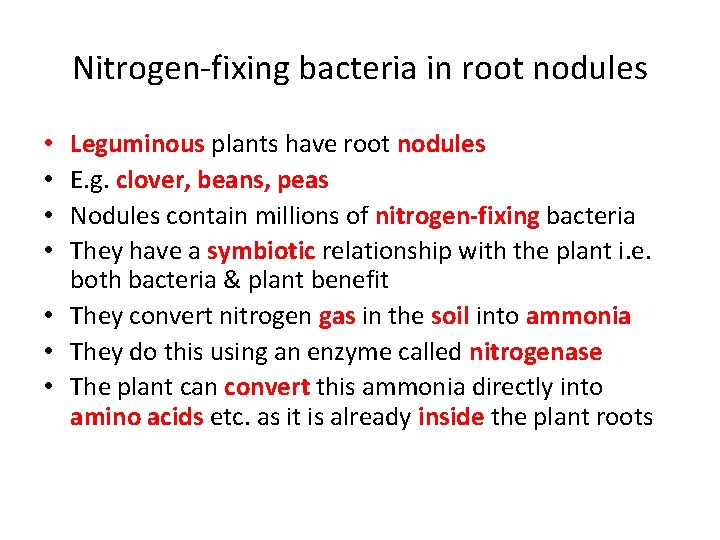 Nitrogen-fixing bacteria in root nodules Leguminous plants have root nodules E. g. clover, beans,