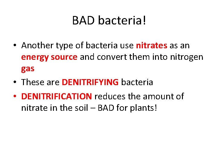 BAD bacteria! • Another type of bacteria use nitrates as an energy source and