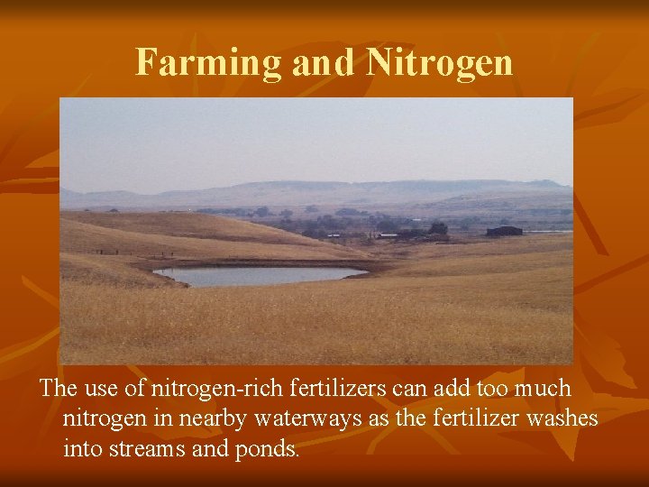 Farming and Nitrogen The use of nitrogen-rich fertilizers can add too much nitrogen in